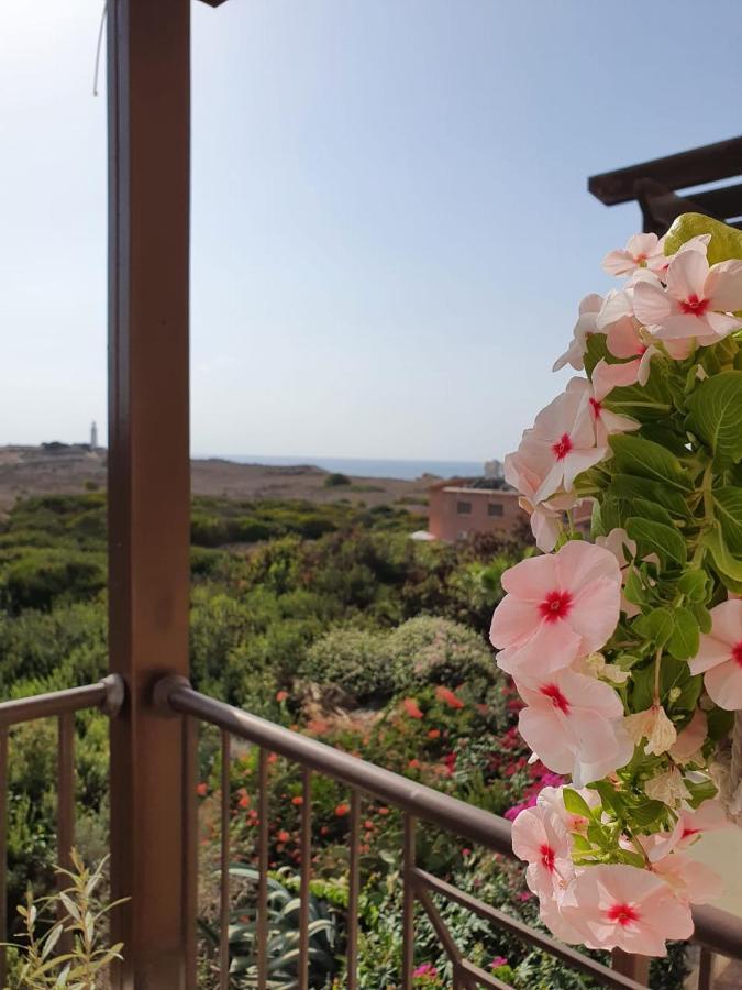 Ancient Paphos - Cozy Place Next To The Sea, Marina, Historical Sites, Buses, Mall, And Market Dış mekan fotoğraf