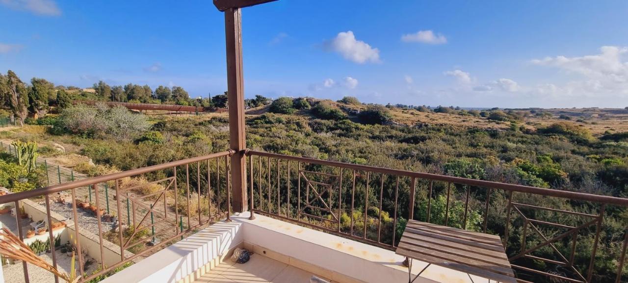 Ancient Paphos - Cozy Place Next To The Sea, Marina, Historical Sites, Buses, Mall, And Market Dış mekan fotoğraf