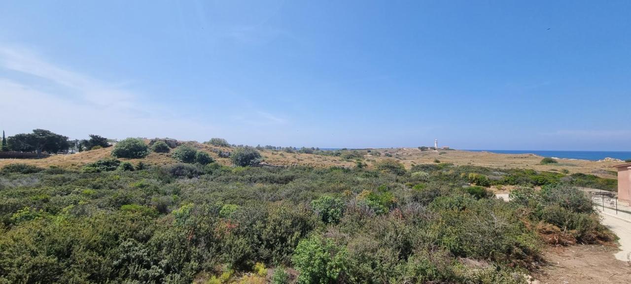 Ancient Paphos - Cozy Place Next To The Sea, Marina, Historical Sites, Buses, Mall, And Market Dış mekan fotoğraf
